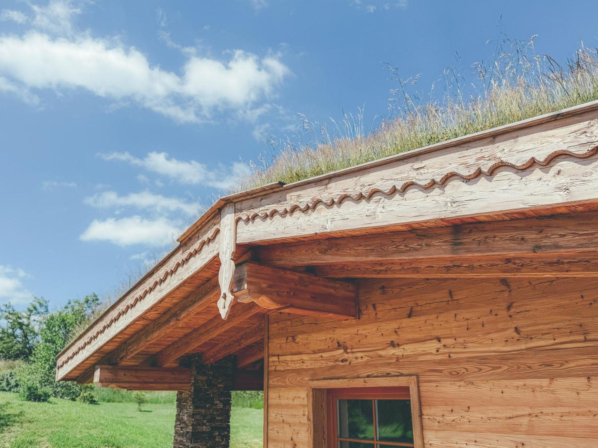 Chalets Resort Cínovec Exteriör bild
